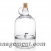 Mint Pantry Earl Glass Jug Beverage Dispenser MNTP2922